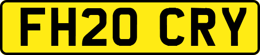 FH20CRY