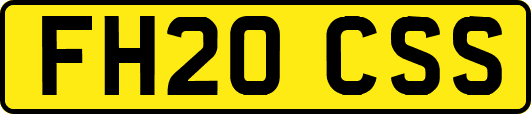 FH20CSS