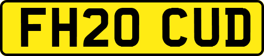 FH20CUD