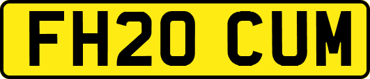 FH20CUM