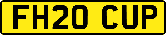 FH20CUP
