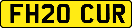 FH20CUR