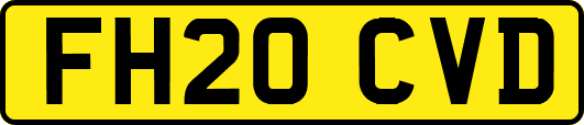 FH20CVD