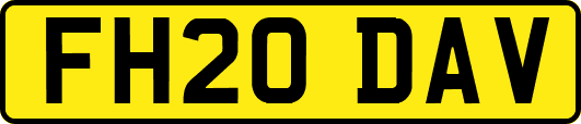 FH20DAV