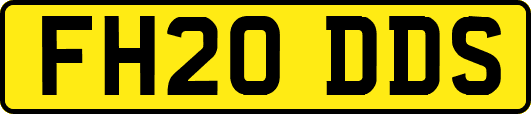 FH20DDS