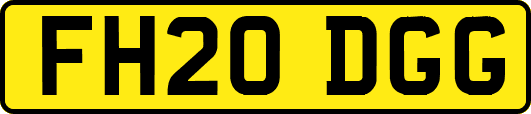 FH20DGG