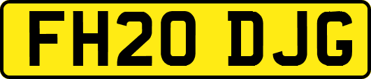 FH20DJG