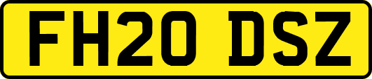 FH20DSZ