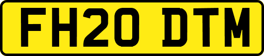 FH20DTM