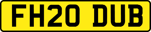 FH20DUB
