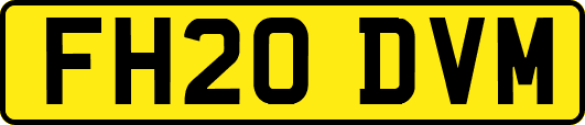 FH20DVM