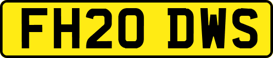 FH20DWS