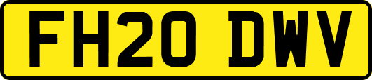 FH20DWV