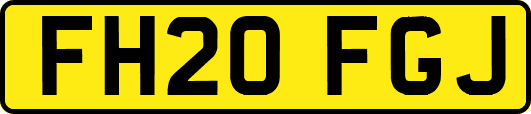 FH20FGJ