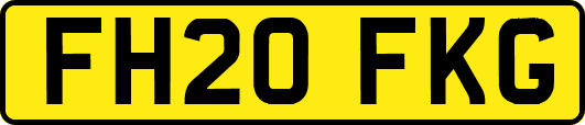 FH20FKG