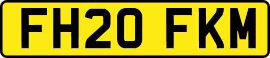 FH20FKM