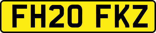 FH20FKZ