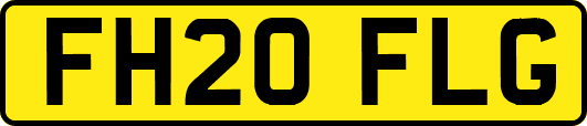 FH20FLG