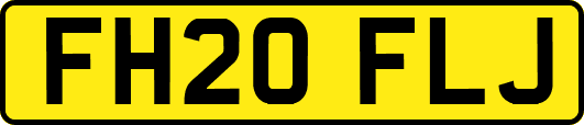 FH20FLJ