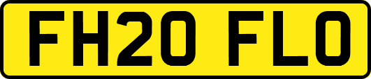 FH20FLO