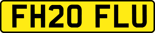 FH20FLU