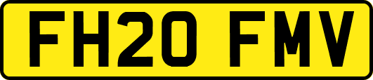 FH20FMV