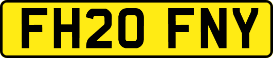 FH20FNY