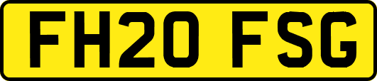 FH20FSG