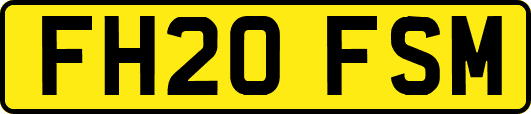 FH20FSM