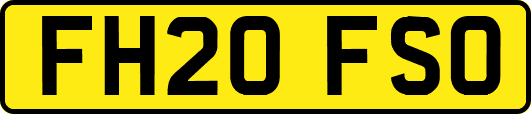 FH20FSO