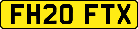 FH20FTX