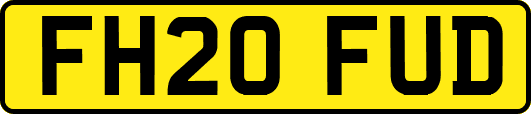 FH20FUD