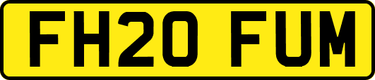 FH20FUM