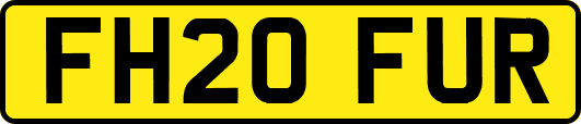 FH20FUR