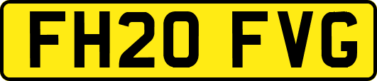 FH20FVG
