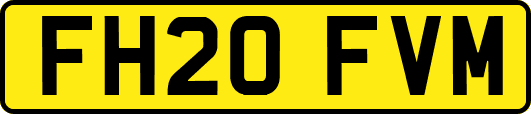 FH20FVM