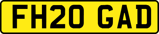 FH20GAD
