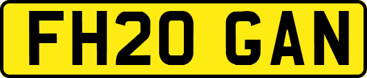FH20GAN