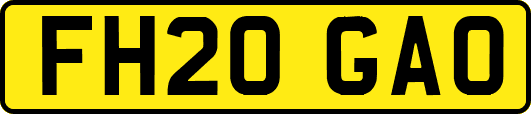FH20GAO