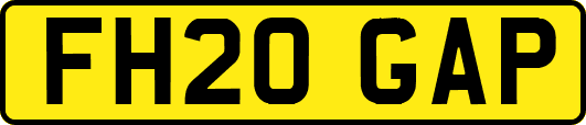 FH20GAP