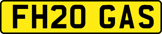 FH20GAS