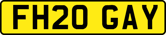 FH20GAY