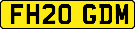FH20GDM