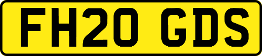 FH20GDS