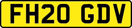 FH20GDV