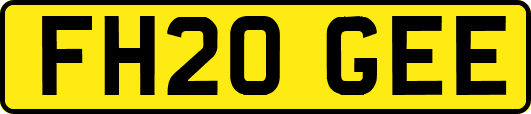 FH20GEE