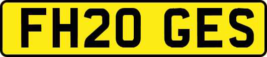 FH20GES