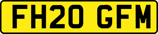 FH20GFM