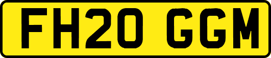 FH20GGM