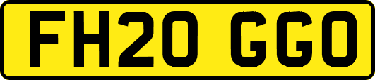 FH20GGO